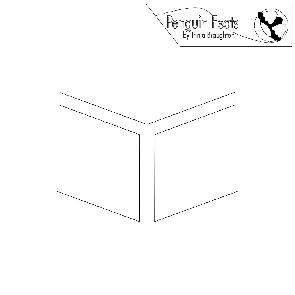 Continuous line design of Boxed One with 'Penguin Feats' branding at the top.