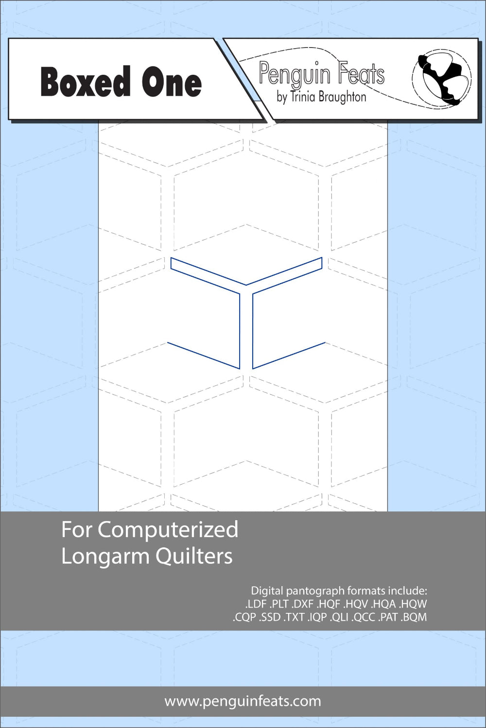 Design info for computerized longarm quilters with a blue and gray cover.