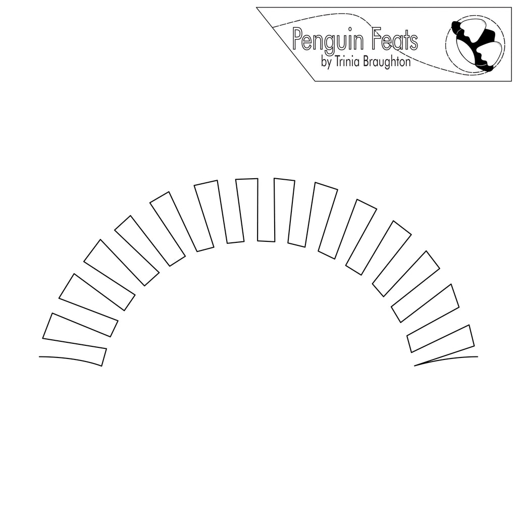 Outline of a curved shape with 'Penguin Feats' branding at the top.