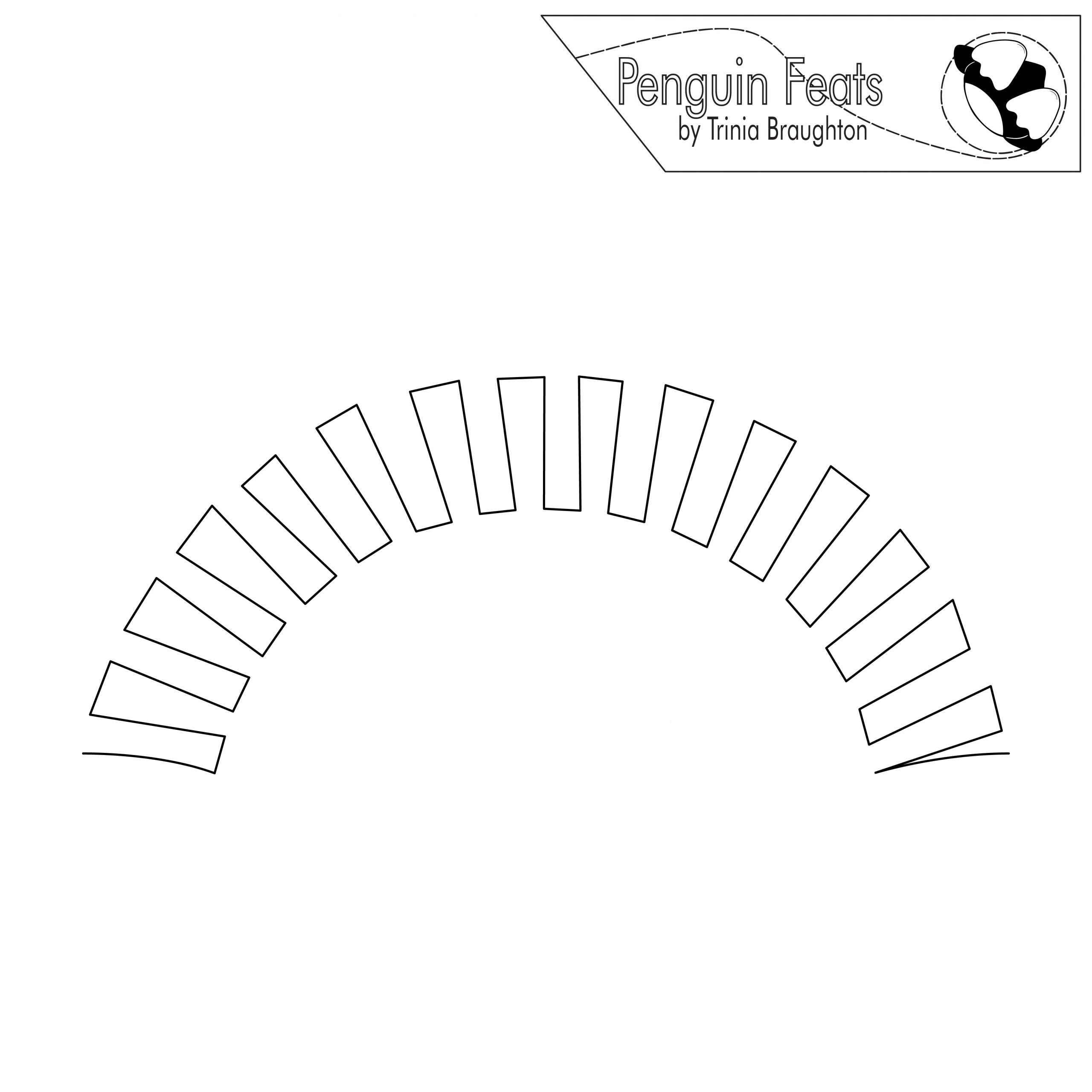 Outline of a curved shape with 'Penguin Feats' branding at the top.