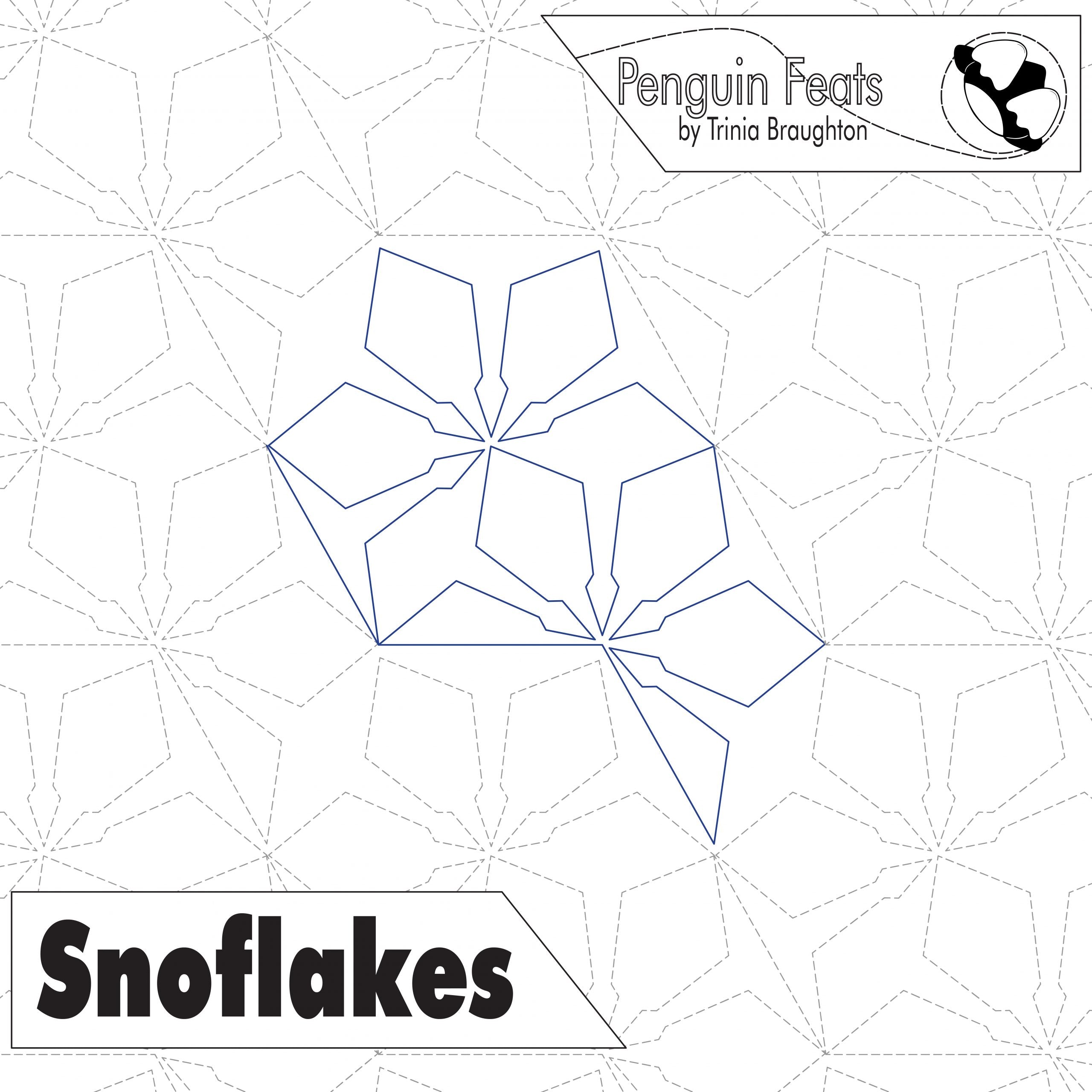 Geometric snowflake design on a white background with 'Penguin Feats' branding.